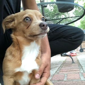 Meet your Posher, Cody